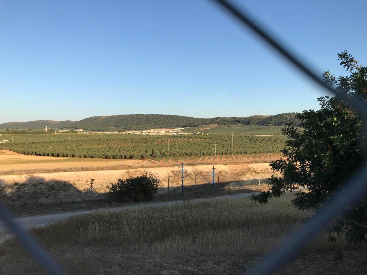 فيلا فوينتيه دي بيدرافي Cortijo Vista Alegre المظهر الخارجي الصورة