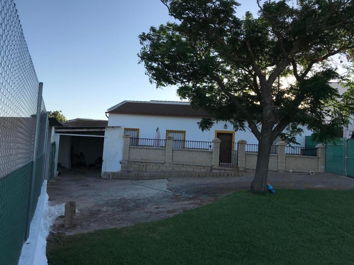 فيلا فوينتيه دي بيدرافي Cortijo Vista Alegre المظهر الخارجي الصورة